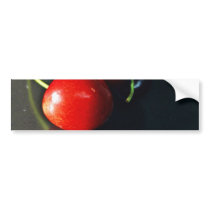 Cherry Cherries Fruit bumper stickers