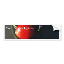 Cherry Cherries Fruit bumper stickers