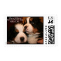 Cherry Hill Kennel- STAMPS