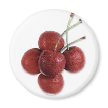 cherry magnets by aceinvestor cherry magnets