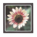 Cherry Rose Sunflower premium gift boxes