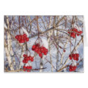 Cherry Snow Cones card