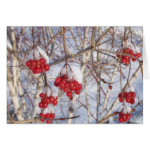 Cherry Snow Cones cards