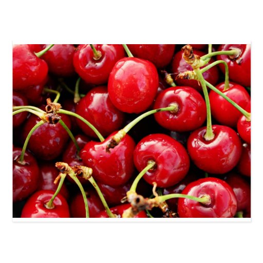 Cherry Time Items! Post Card