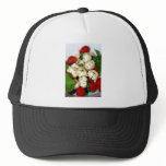 Cherry Tomato and Mozzarella Salad Hats Cherry Tomato and Mozzarella Salad Hats
