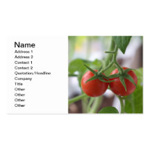 Cherry tomatoes on a branch business card templates