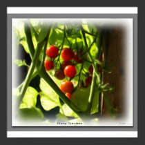 Cherry Tomatoes posters