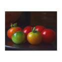 cherry-tomatos postcards by blessedme cherry-tomatos postcards