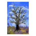 Cherry Tree #1 posters