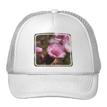 Cherry Tree Blossoms  Baseball Hat