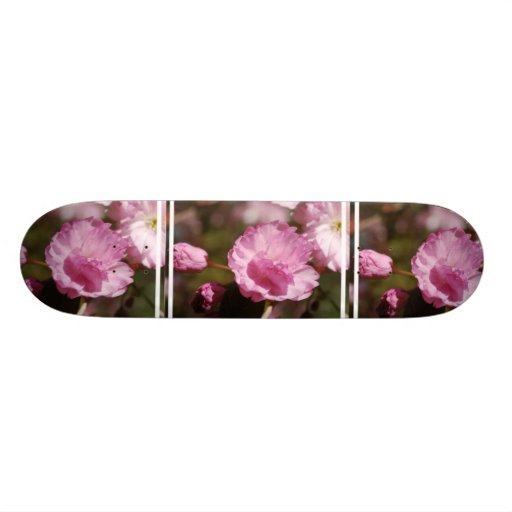 Cherry Tree Blossoms Skateboard