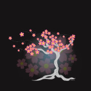 Cherry Tree Blossoms shirt