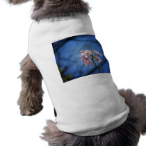 Cherry Tree Branch With Blossoms Dog Clothes