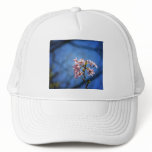 Cherry Tree Branch With Blossoms hats