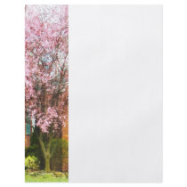 Cherry Tree By Brick House flyers