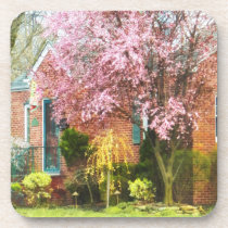 Cherry Tree By Brick House cork coasters