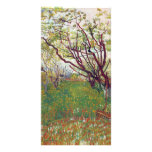 Cherry Tree by Vincent van Gogh photo cards