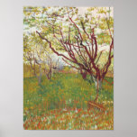 Cherry Tree Canvas Print Cherry Tree Canvas Print