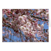 Cherry Tree cards by mlane53 Cherry Tree cards