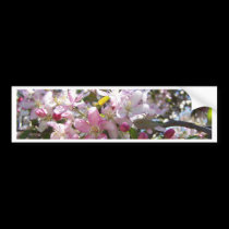 Cherry Tree in Bloom bumper stickers