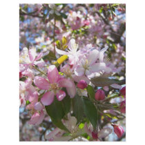 Cherry Tree in Bloom Flyer