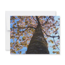 Cherry Tree invitations