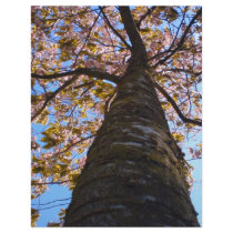 Cherry Tree letterhead
