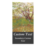 Cherry Tree Photo Cards