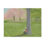Cherry Tree Sketcher - Central Park Post Card