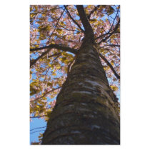Cherry Tree stationery