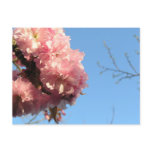 cherrypuff postcards
