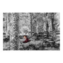 Cherub inder Woods poster