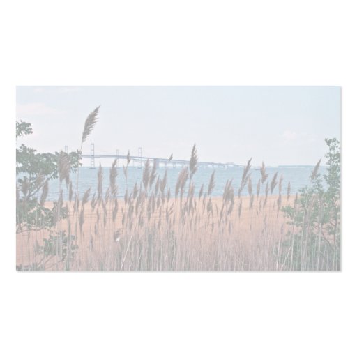 Chesapeake Bay Business Card Template (back side)