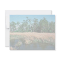 Chesapeake Bay, Eagle Nest Area Announcements