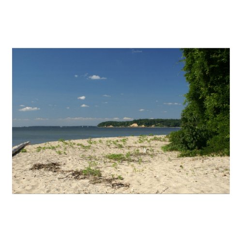 Chesapeake Bay print