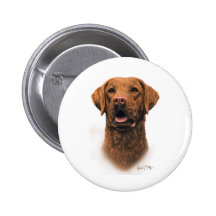 Chesapeake Bay Retriever Buttons