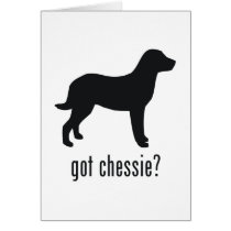 Chesapeake Bay Retriever Greeting Card