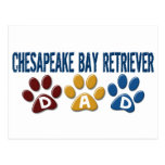 CHESAPEAKE BAY RETRIEVER Dad Paw Print 1 Post Cards