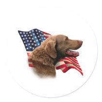Chesapeake Bay Retriever Flag Round Stickers