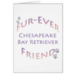 Chesapeake Bay Retriever Furever Chesapeake Bay Retriever Furever