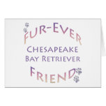 Chesapeake Bay Retriever Furever Chesapeake Bay Retriever Furever