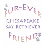 Chesapeake Bay Retriever Furever Chesapeake Bay Retriever Furever