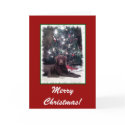 Chesapeake Bay Retriever, Merry Christmas! cards