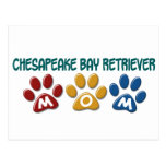 CHESAPEAKE BAY RETRIEVER Mom Paw Print 1 Postcards