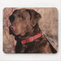 Chesapeake Bay Retriever Mousepad mousepads