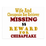 Chesapeake Bay Retriever & Wife Missing Reward For Postcard