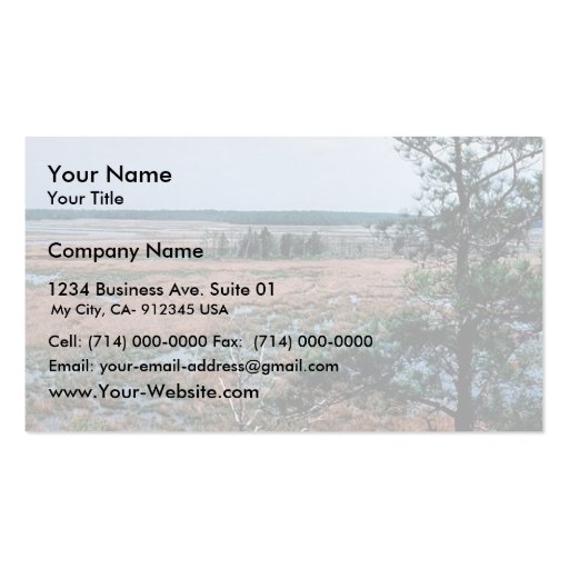 Chesapeake Bay Wetlands Business Card (front side)
