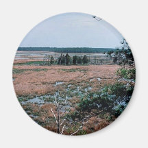 Chesapeake Bay Wetlands Fridge Magnet