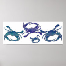 Chesapeake Blue Crabs Poster