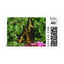 Chesapeake Gardens Postage postage